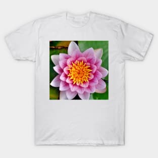 Captivating Pink Water Lily T-Shirt